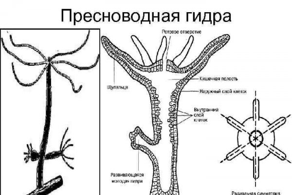 Как найти официальный сайт кракен